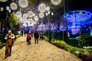 Новогодняя программа в Dream Park