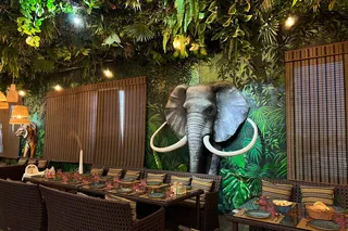 Jungle Family Club'da aksiya