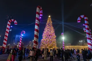 Toshkentda bu hafta havo harorati +8° gacha ko‘tariladi