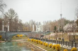 Весна начнется с небольшого потепления и дождя со снегом