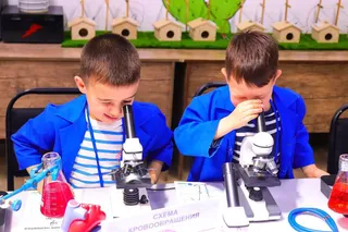Научная программа «Анатомия человека»