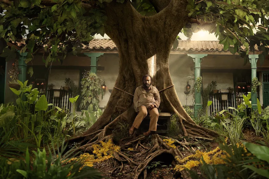 Katta dumbalar katta siklar