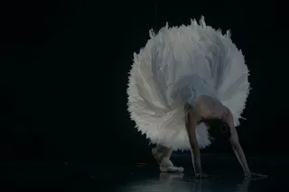 Лебединая песня