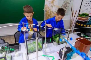 Научная программа «Явления природы»
