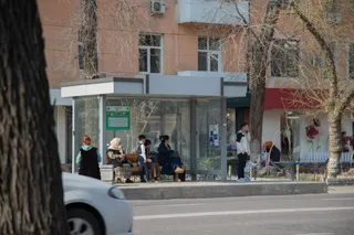 Toshkentda yangi turdagi avtobus bekatlari oʻrnatiladi