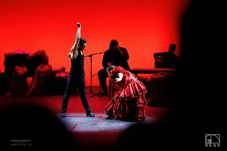 7 марта испанский театр Barcelona Flamenco Ballet представит свой грандиозный спектакль Carmen