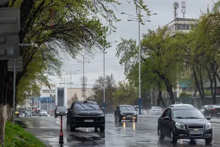 Понижение температуры до +8° ожидается в конце недели