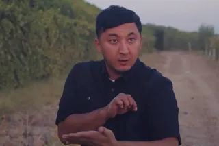 Qovun oʻgʻrilari