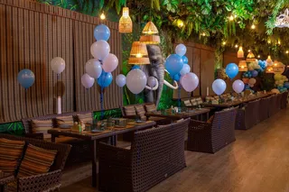 Акции в Jungle Family Club