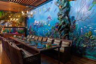 Акции в Jungle Family Club