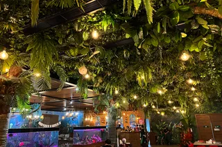 Акции в Jungle Family Club