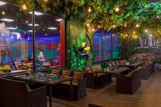 Акции в Jungle Family Club