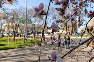 Dam olish kunlari ayrim joylarda yomgʻir yogʻadi, lekin poytaxtda emas