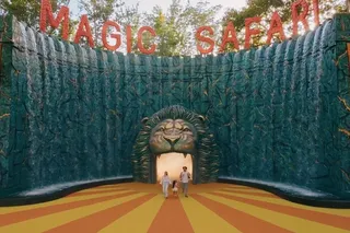 Magic Safari