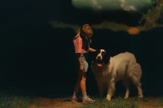 Поле чудес