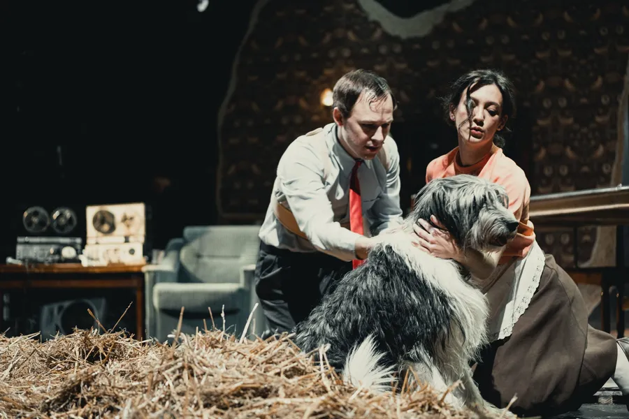 TheatreHD: Собачье сердце