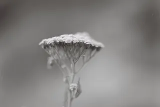 Фотовыставка Павла Панкова