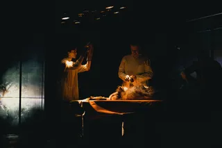 TheatreHD: Собачье сердце