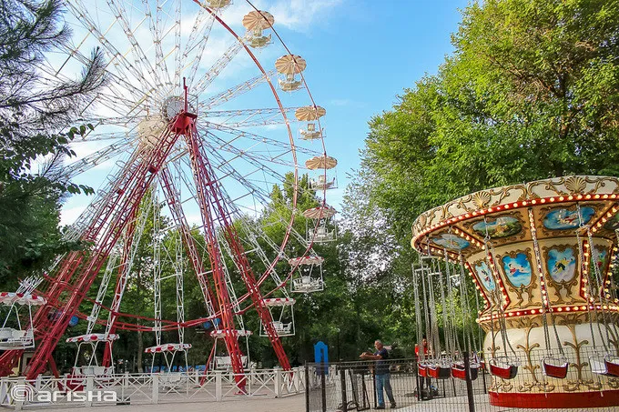 Шоу-программа в Central Park