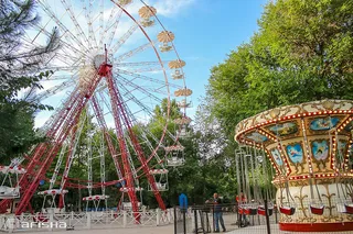 Шоу-программа в Central Park