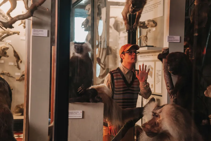 Правила Филиппа