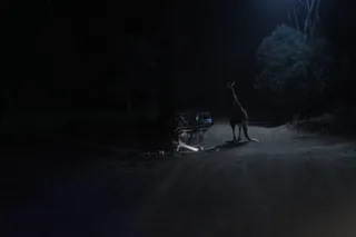 Хищник. Дожить до рассвета