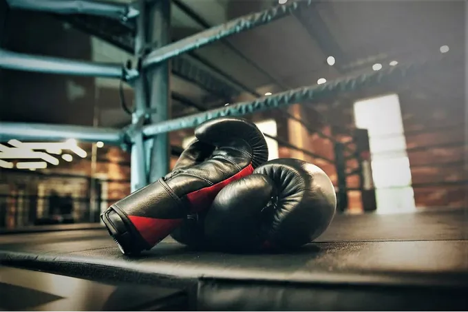 Professional boks kechasi