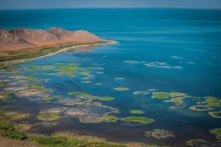 Jizzax viloyatida plyaj turizmiga asoslangan yirik dam olish maskani barpo etiladi