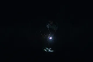 Хищник. Дожить до рассвета