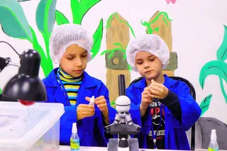 Научная программа «Ветеринария»