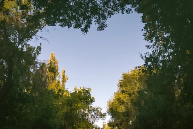 Dam olish kunlari havo ochiq va quruq bo‘ladi 