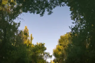 Dam olish kunlari havo ochiq va quruq bo‘ladi 
