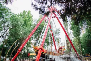 Шоу-программа в Central Park