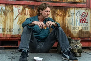 Гангстерская романтика с котиком: обзор фильма «Пойман с поличным»