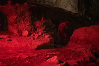 Дикая охота