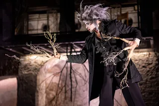 TheatreHD: Эгон Шиле. Автопортрет