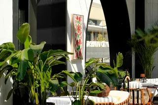 Novikov Cafe