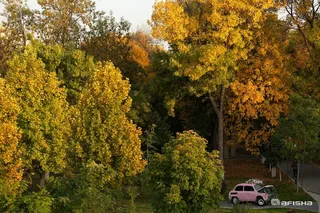Dam olish kunlari qanday ob-havo kuzatiladi?