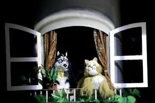 Дверца в собачий рай