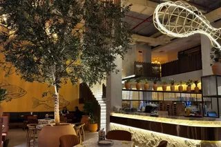 Ресторан Ocean Basket объявил о закрытии