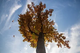 Dam olish kunlari bulutli ob-havo kuzatiladi