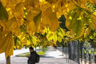 Dam olish kunlari issiq ob-havo kuzatiladi