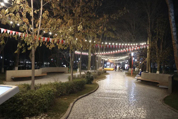 Шоу-программа