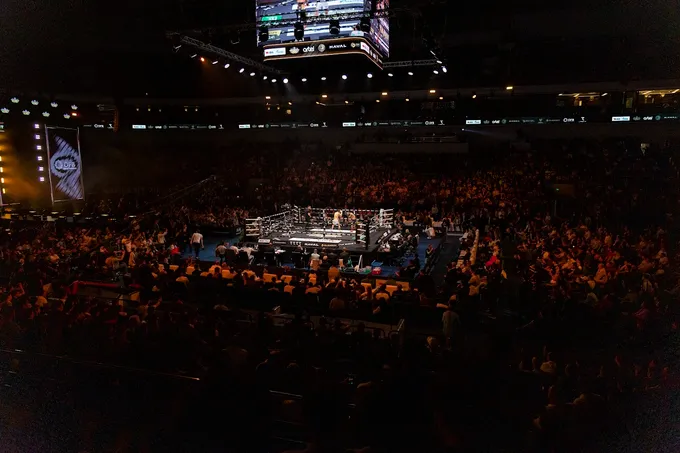 Xalqaro professional boks kechasi