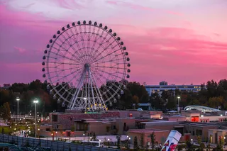 Куда пойти на выходных в Ташкенте, 15 и 16 ноября