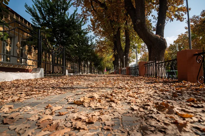 В выходные в столице потеплеет до +16°