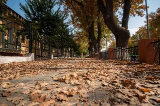 В выходные в столице потеплеет до +16°