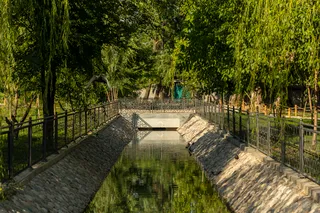 В Ташкенте восстановят арычную систему