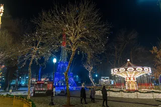 Central Park'da shou dastur