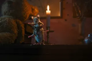 Мышиный переполох